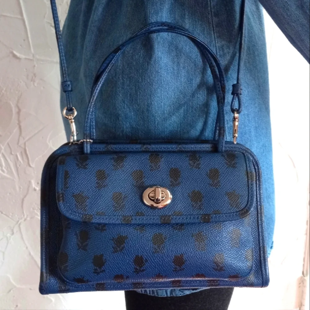 Coach Cady, Badlands Print on Crossgrain Leather, LE, Rare!!!
